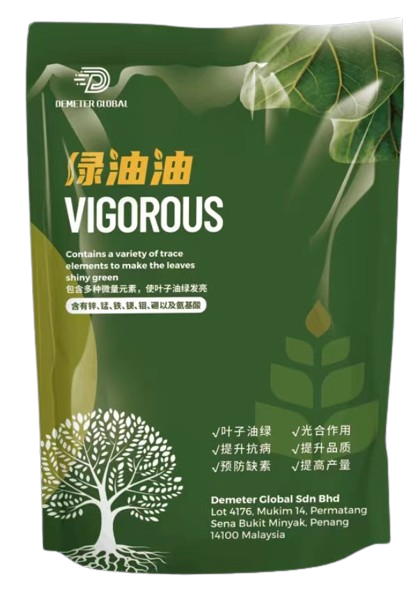 8013 Vigorous